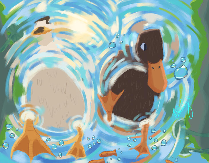 Duckies swimming